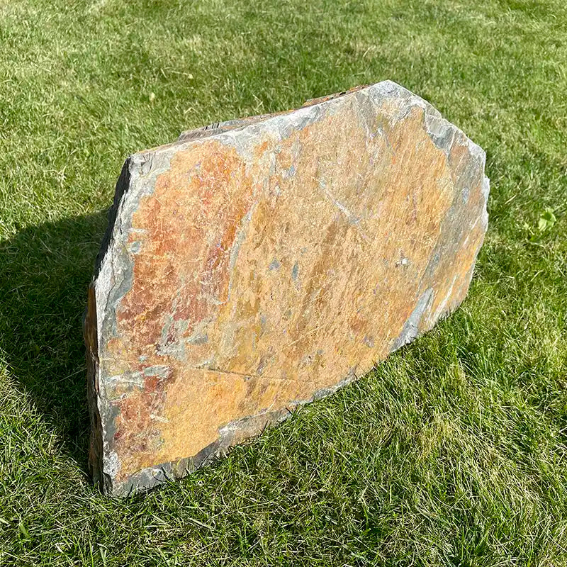 Grauwacke Trittplatte im Sonnenlicht auf der Wiese