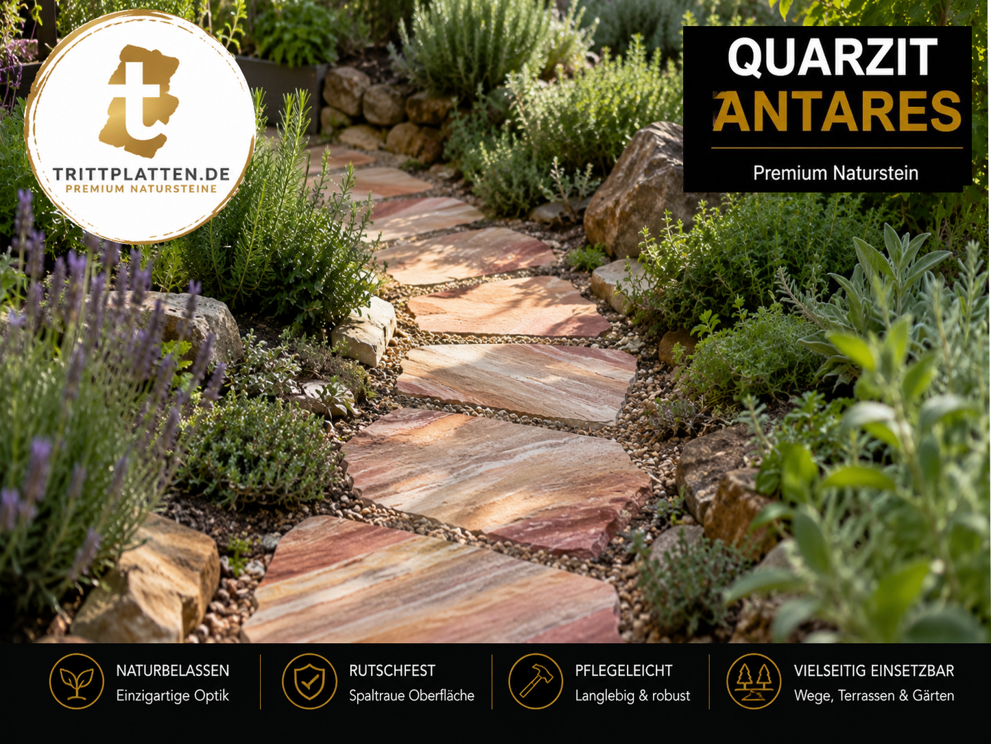 Quarzit Antares Naturstein-Trittplatten als geschwungener Gartenweg im mediterranen Kräutergarten mit Lavendel und Natursteinen