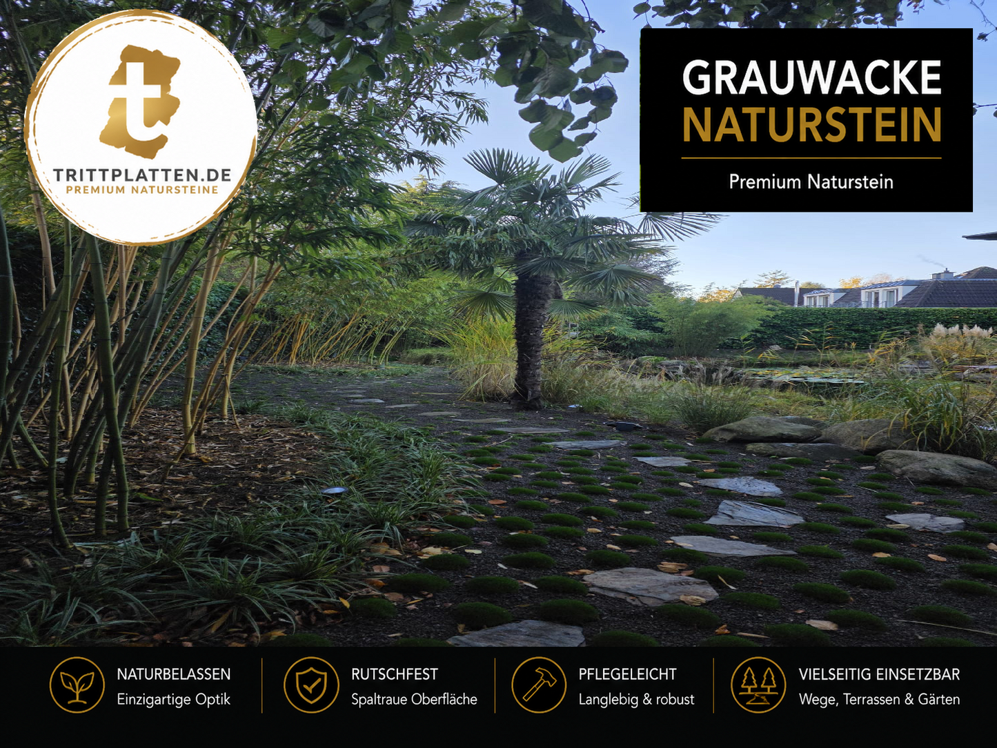 Grauwacke Trittplatten 5er Set | Polygonale Naturstein-Trittsteine