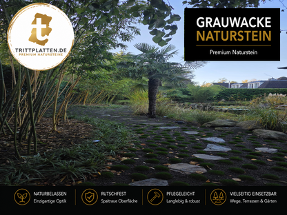 Grauwacke Trittplatten 5er Set | Polygonale Naturstein-Trittsteine