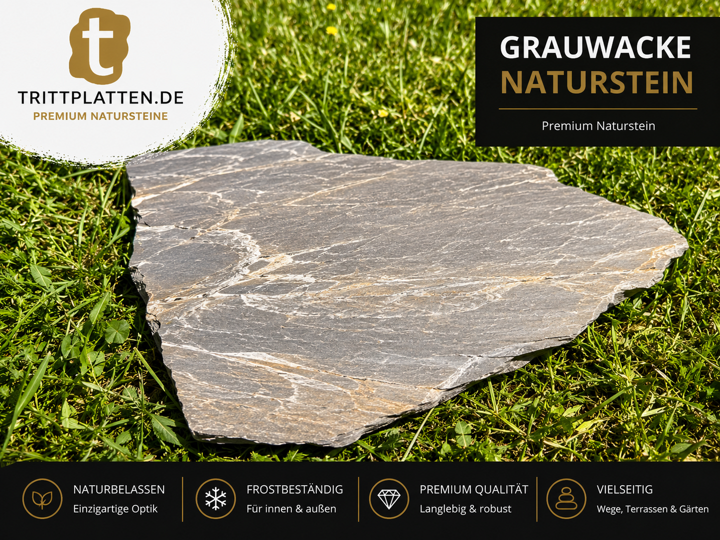 Grauwacke Trittplatten 5er Set | Polygonale Naturstein-Trittsteine