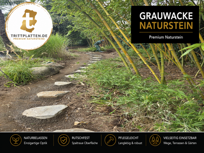 Grauwacke Trittplatten 5er Set | Polygonale Naturstein-Trittsteine