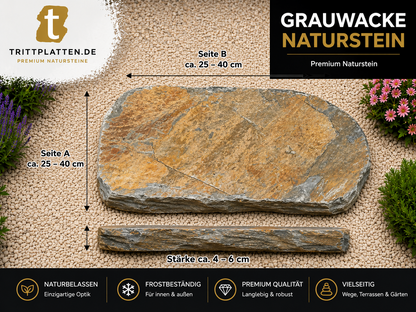 Grauwacke Trittplatten 5er Set | Polygonale Naturstein-Trittsteine