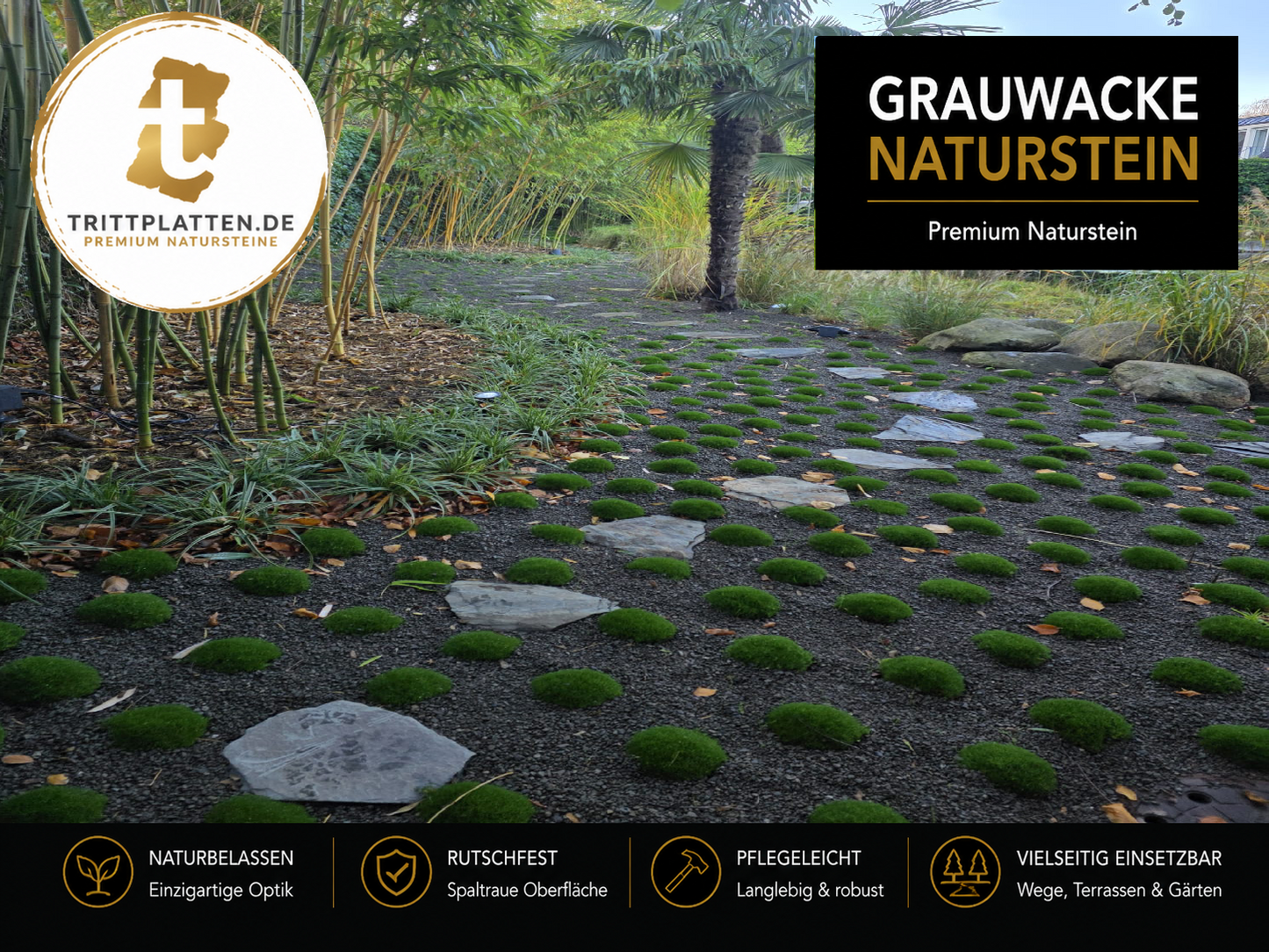 Grauwacke Trittplatten 5er Set | Polygonale Naturstein-Trittsteine