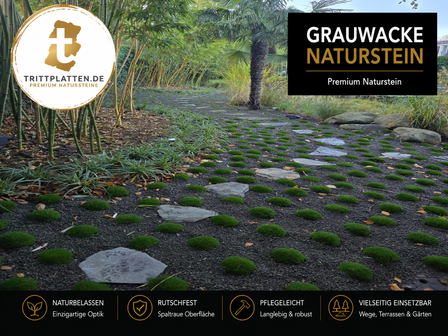 Grauwacke Trittplatten 5er Set | Polygonale Naturstein-Trittsteine