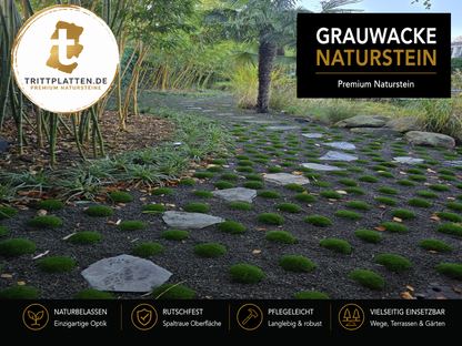Grauwacke Trittplatten 5er Set | Polygonale Naturstein-Trittsteine