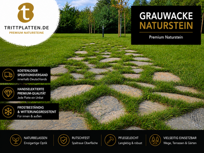 Grauwacke Trittplatten 5er Set | Polygonale Naturstein-Trittsteine