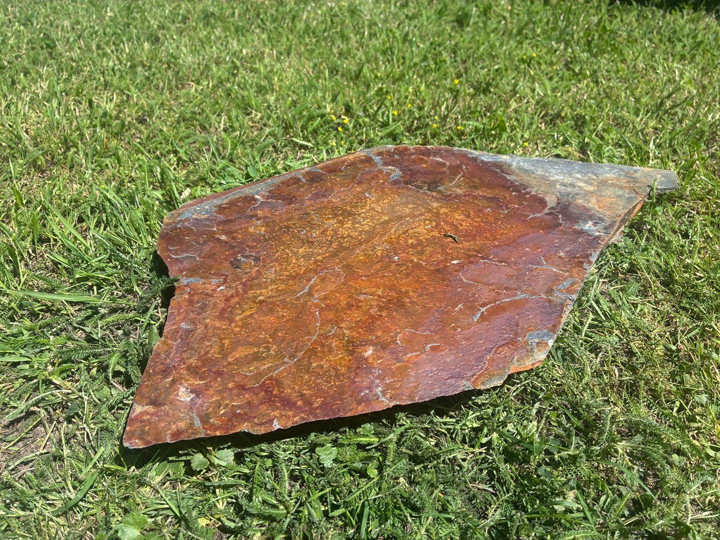 Original Schiefer Antigua Naturstein Trittplatte mit einzigartiger rotbrauner, kupferfarbener und goldener Maserung – ideal für exklusive Gartenwege und Trittsteine im Rasen.