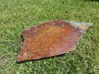 Original Schiefer Antigua Naturstein Trittplatte mit einzigartiger rotbrauner, kupferfarbener und goldener Maserung – ideal für exklusive Gartenwege und Trittsteine im Rasen.