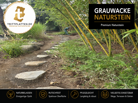 Trittplatten Grauwacke