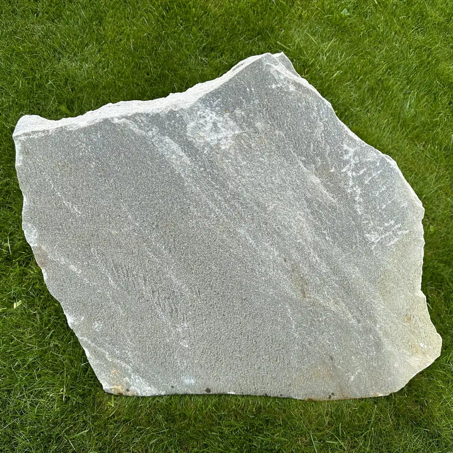 Trittplatten Jasmares Quarzit