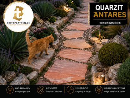 Trittplatten Quarzit Antares