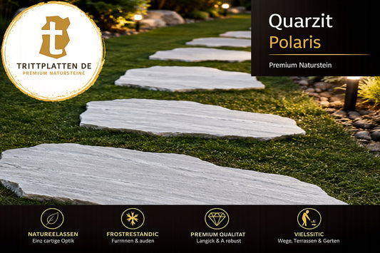 Trittplatten Quarzit Polaris